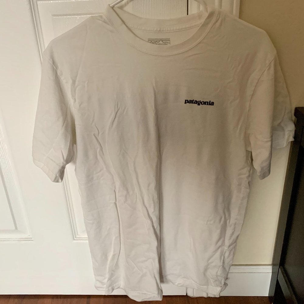 Patagonia Men's Tee